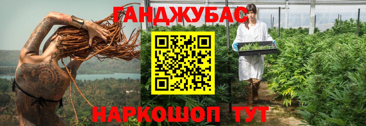 Бошки Шишки планчик Александров